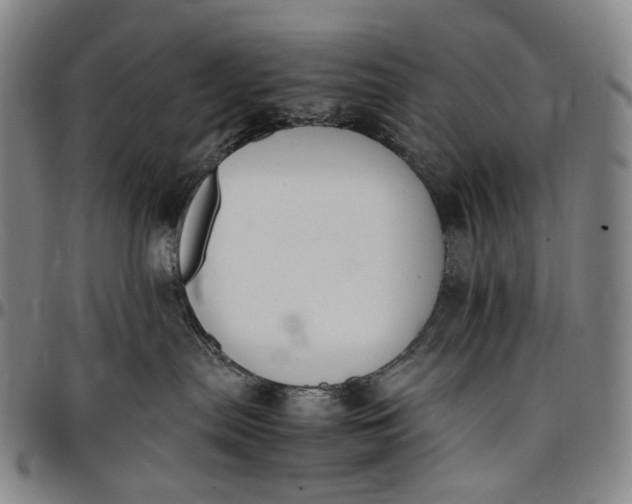 X0000096650287200802191250