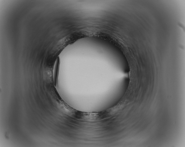 X0000096650288200802191250