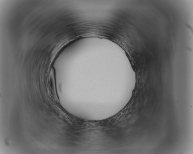 X0000096650289200802191249