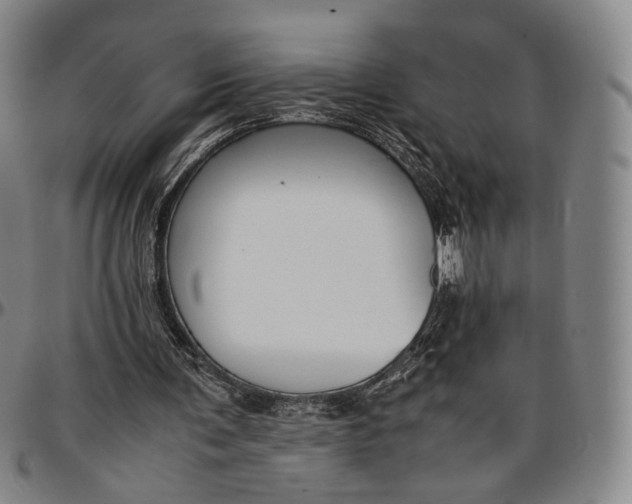 X0000096650291200802191249