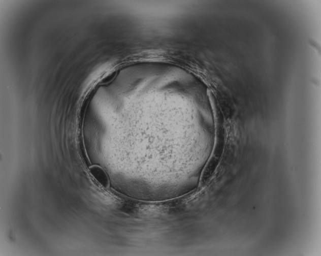 X0000096650293200802191249