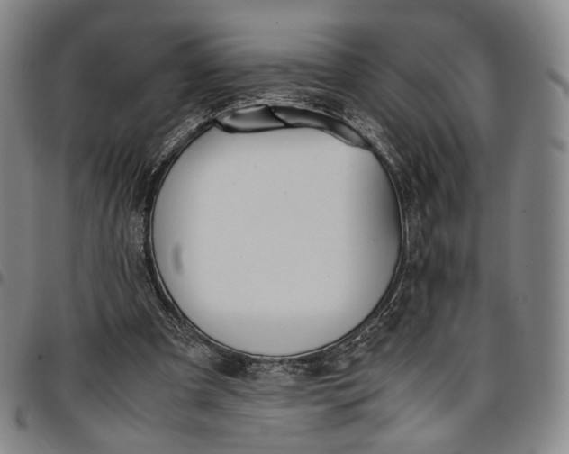 X0000096650297200802191249