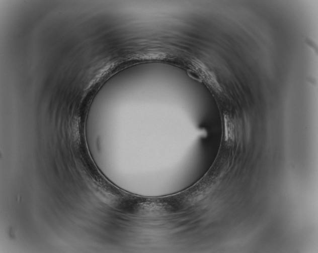 X0000096650300200802191249