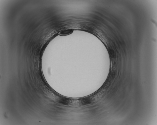 X0000096650301200802191249