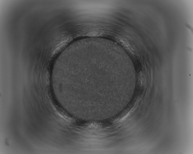 X0000096650303200802191249