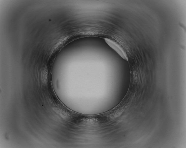 X0000096650304200802191249