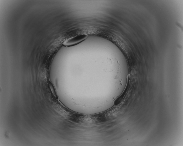 X0000096650305200802191249