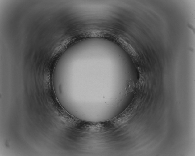 X0000096650306200802191249