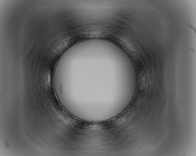 X0000096650310200802191249