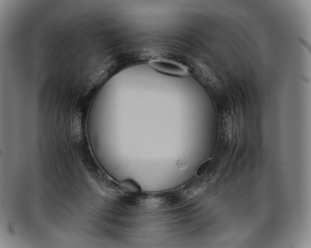 X0000096650312200802191249