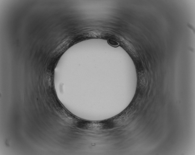 X0000096650313200802191249