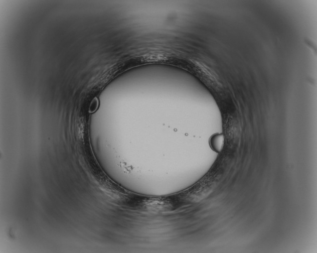 X0000096650315200802191249