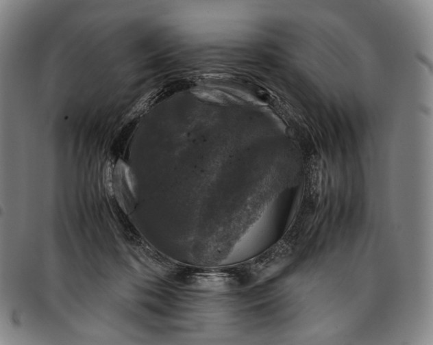 X0000096650316200802191249