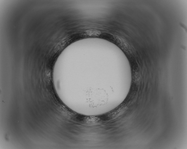 X0000096650321200802191248