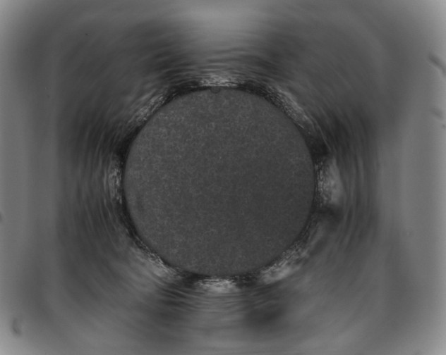 X0000096650322200802191248