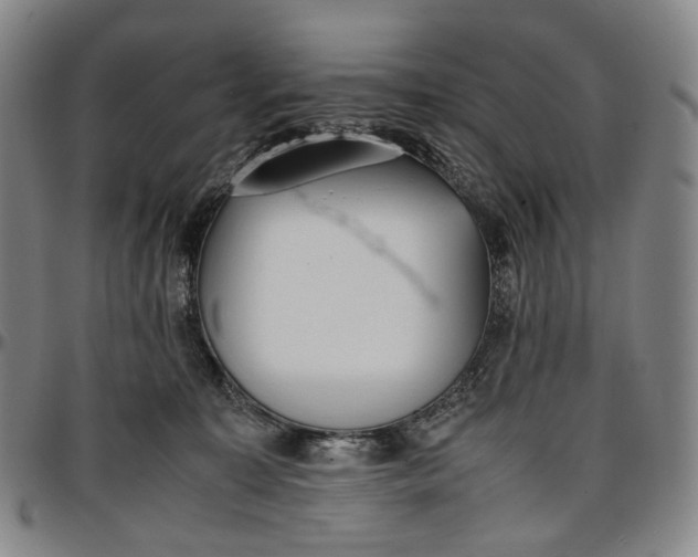 X0000096650323200802191248