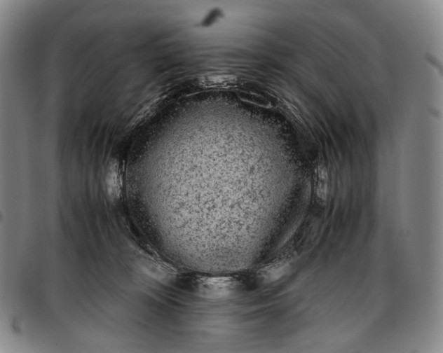X0000096650324200802191248