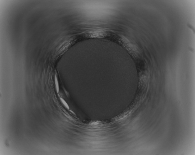 X0000096650325200802191248