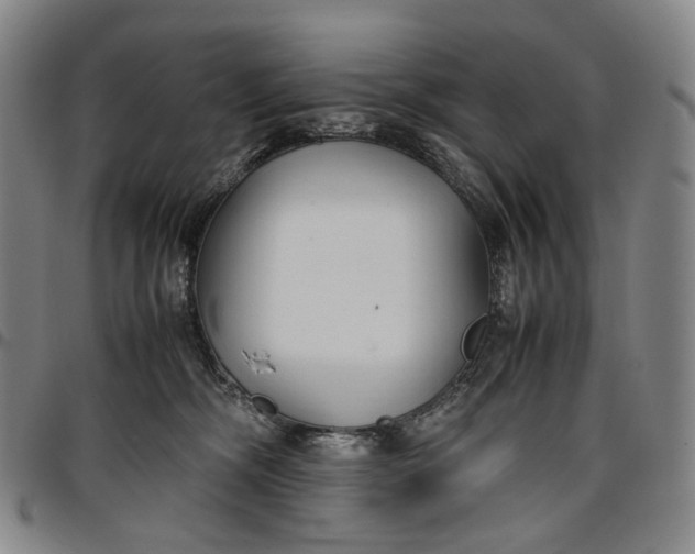 X0000096650326200802191248