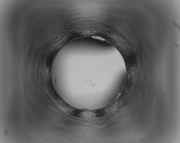 X0000096650327200802191248