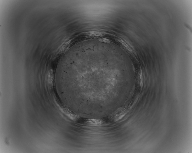 X0000096650328200802191248