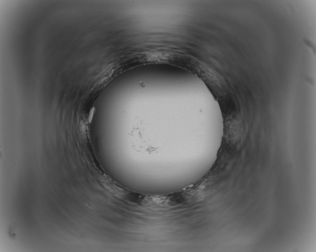 X0000096650329200802191248