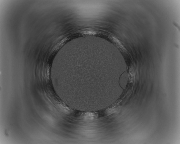 X0000096650330200802191248
