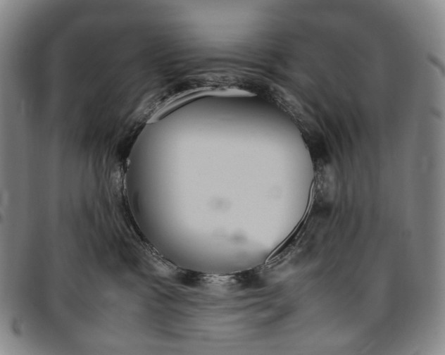 X0000096650333200802191248