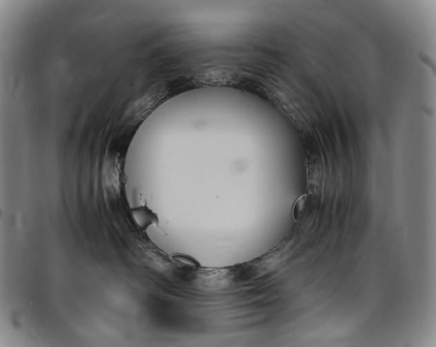 X0000096650334200802191248