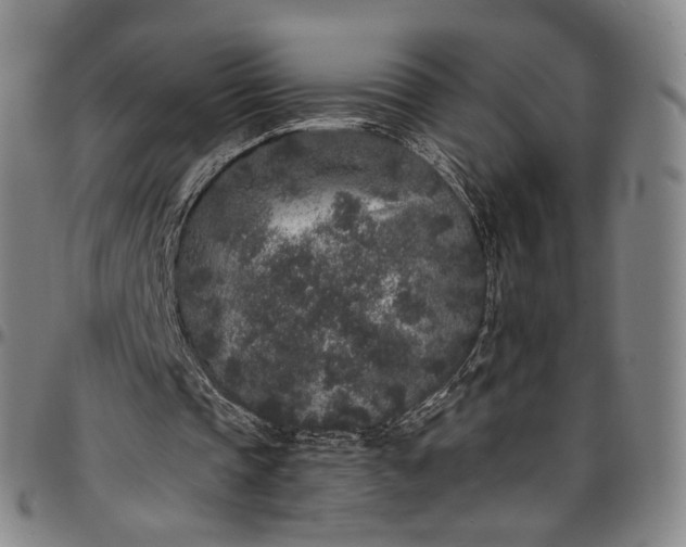 X0000096650337200802191247