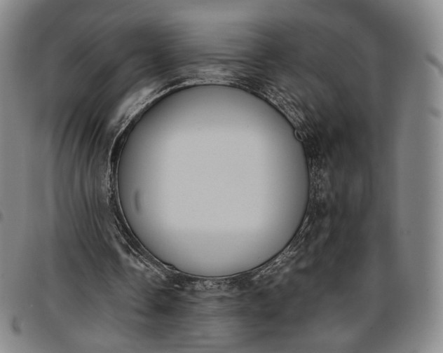 X0000096650338200802191247