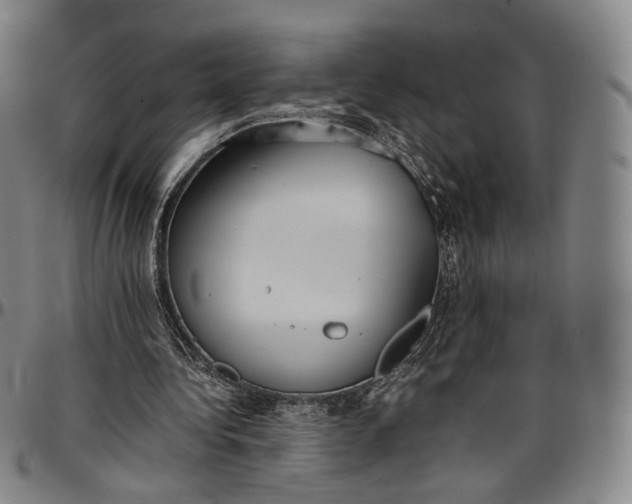 X0000096650340200802191248