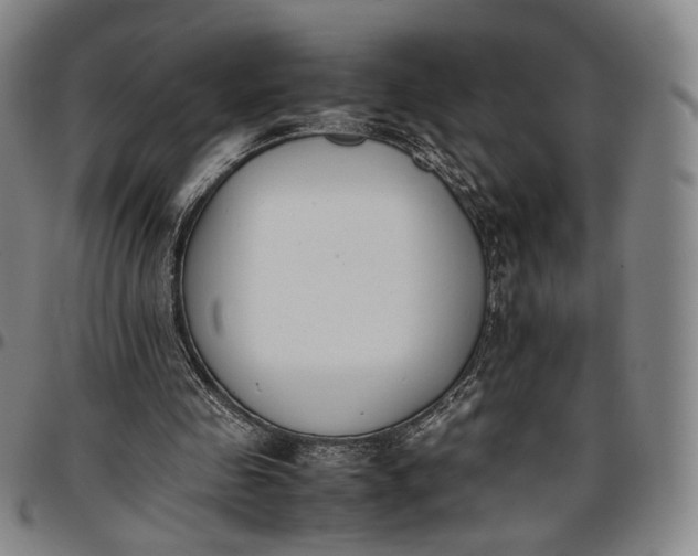 X0000096650341200802191248