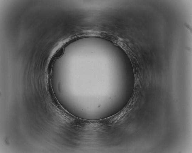X0000096650342200802191248