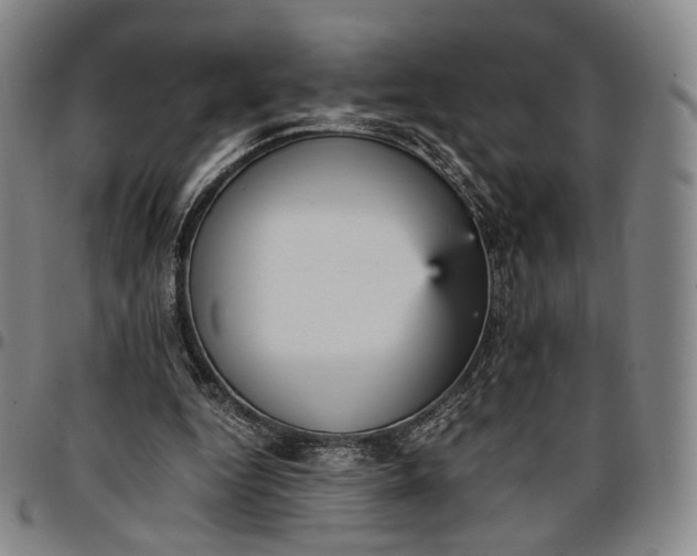 X0000096650344200802191248