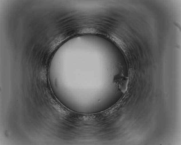 X0000096650345200802191248