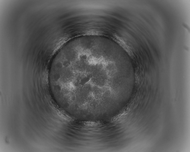 X0000096650347200802191248