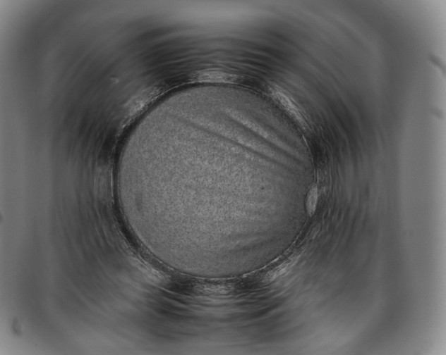 X0000096650349200802191248