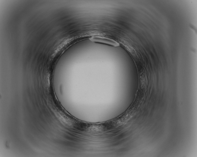 X0000096650350200802191248