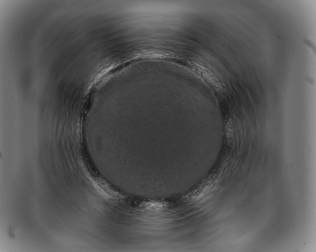 X0000096650352200802191248