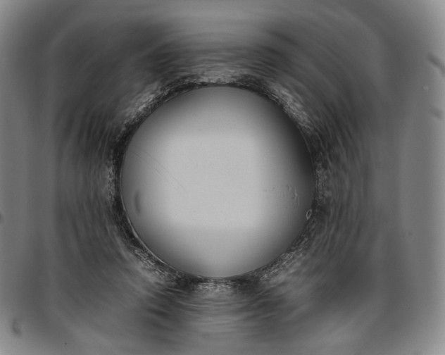 X0000096650354200802191248