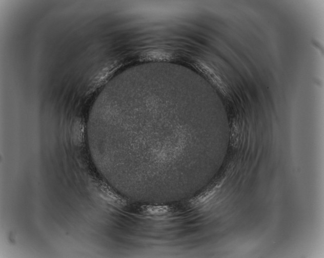 X0000096650355200802191248