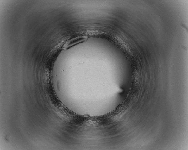 X0000096650356200802191248
