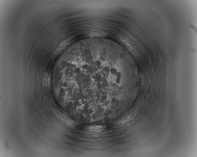 X0000096650357200802191248