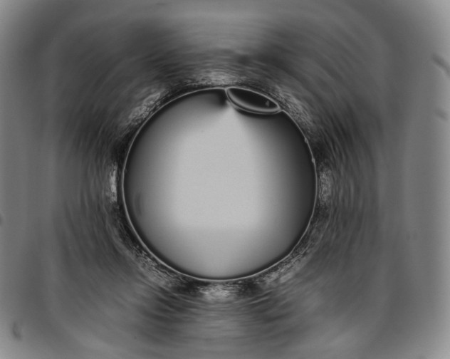 X0000096650358200802191248