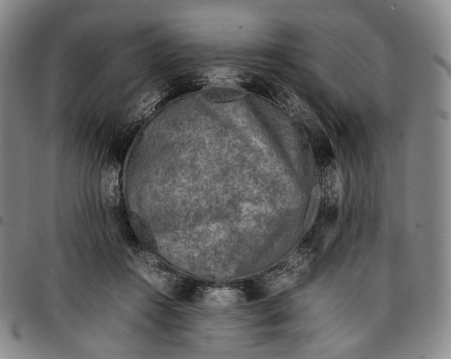X0000096650360200802191248