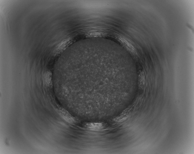 X0000096650361200802191248
