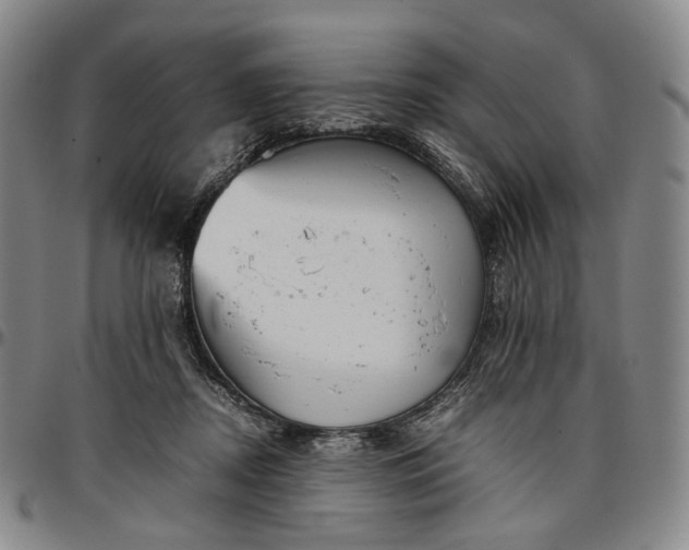 X0000096650362200802191248