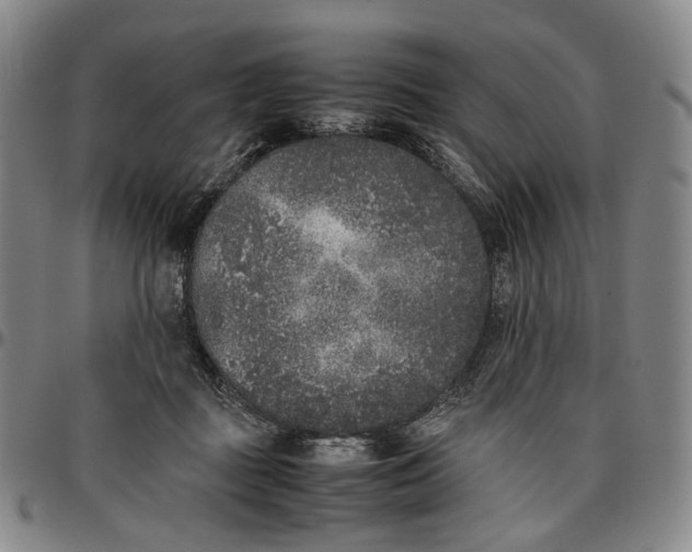 X0000096650363200802191248