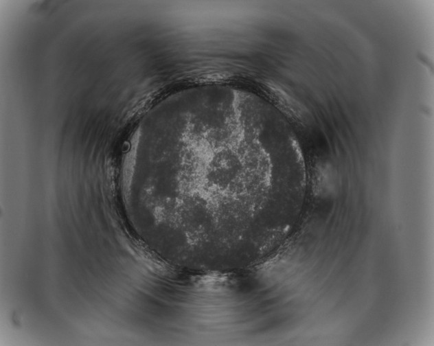 X0000096650366200802191248